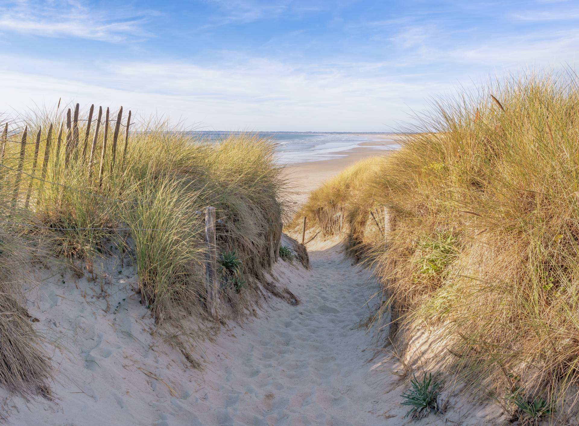 Papermoon Fototapete "Dunes in Bretagne" von Papermoon