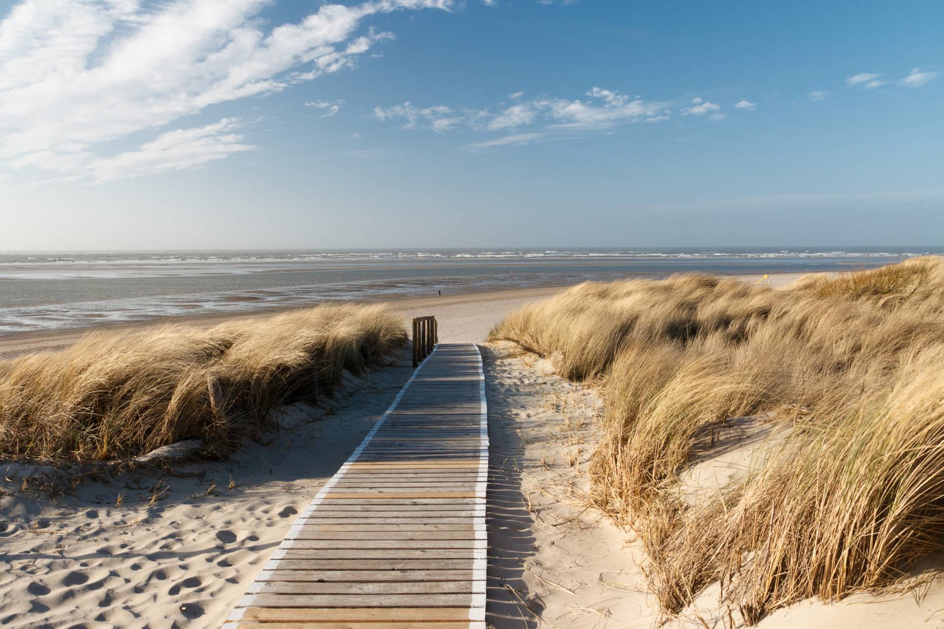 Papermoon Fototapete "Dunes in Langeoog" glatt von Papermoon