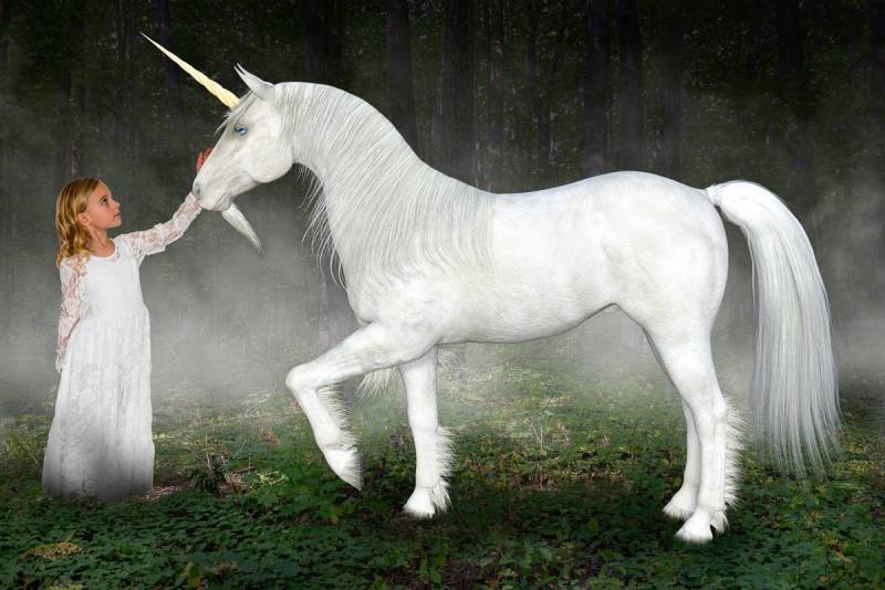 Papermoon Fototapete "Einhorn Hoffnung Liebe Frieden" von Papermoon