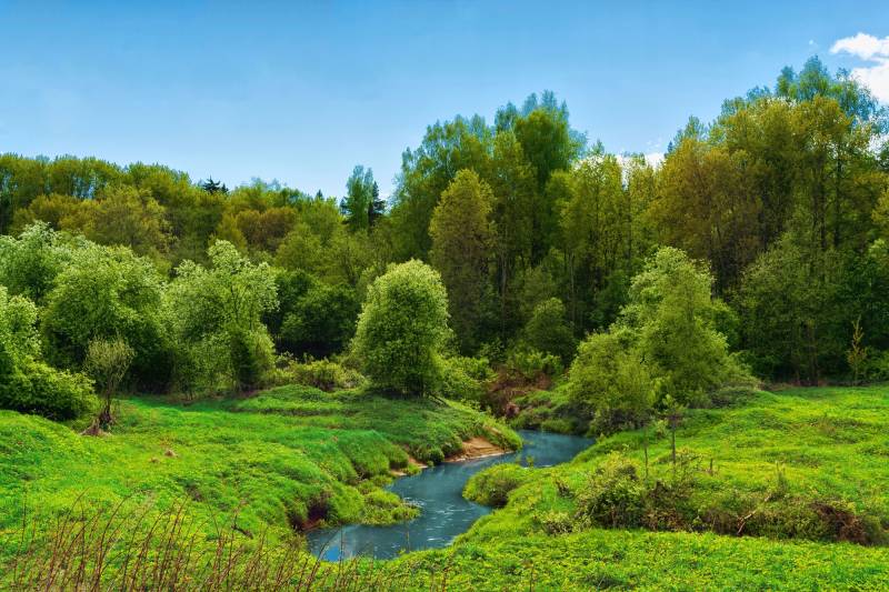 Papermoon Fototapete "FLUSS IM WALD-BAUM NATUR DSCHUNGEL SONNE WEG WASSERFALL" von Papermoon