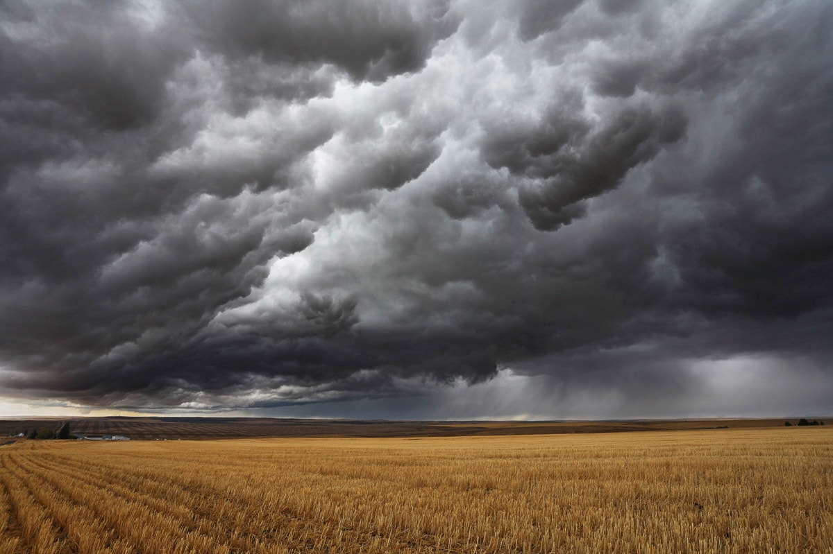 Papermoon Fototapete "Feld mit Gewitter" von Papermoon