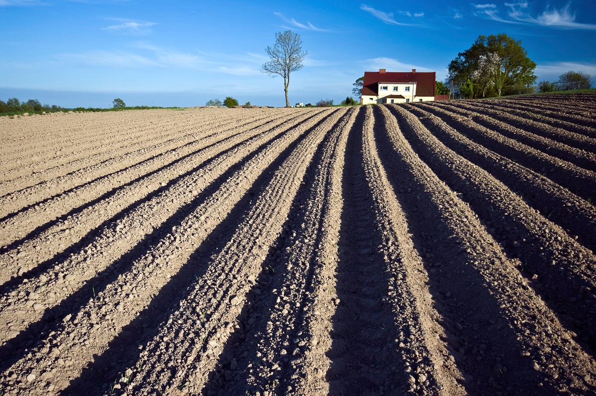 Papermoon Fototapete "Feld" von Papermoon