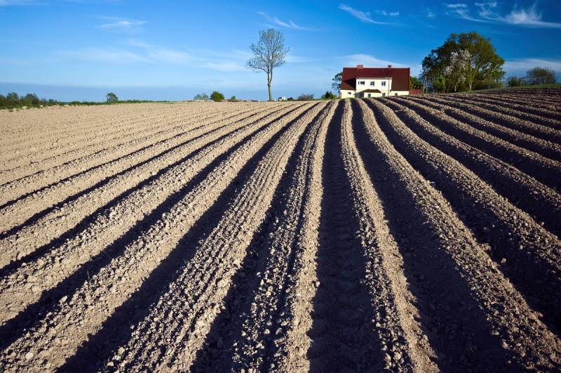 Papermoon Fototapete "Feld" von Papermoon