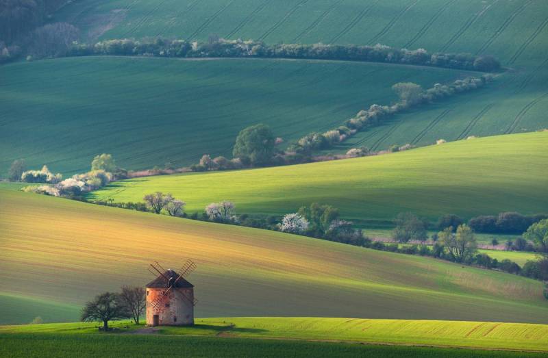 Papermoon Fototapete "Felder mit Windmühle" von Papermoon