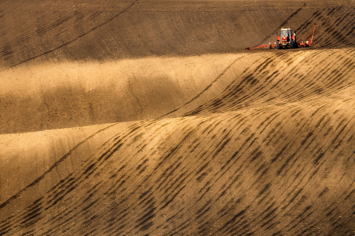 Papermoon Fototapete "Felder" von Papermoon