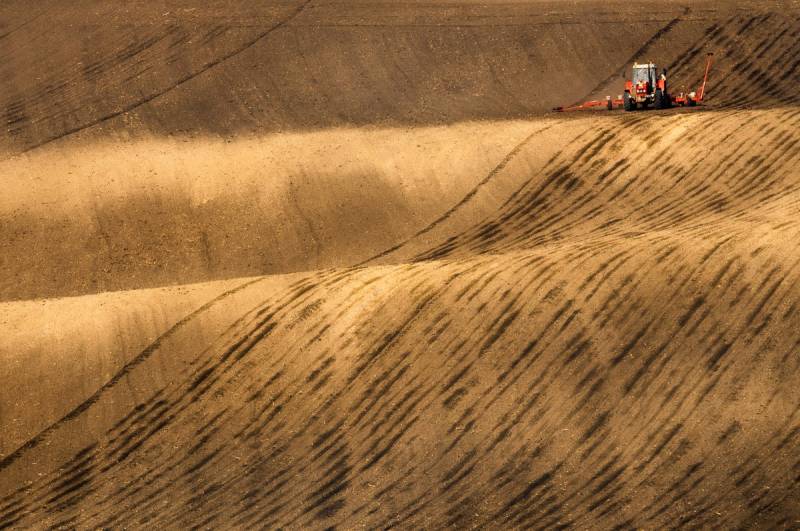 Papermoon Fototapete "Felder" von Papermoon