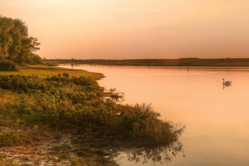 Papermoon Fototapete "Fluss am Wald" von Papermoon