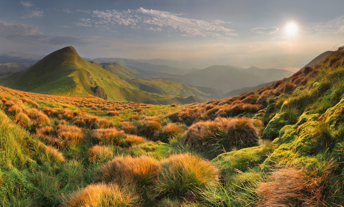 Papermoon Fototapete "Fluss im Wald" von Papermoon