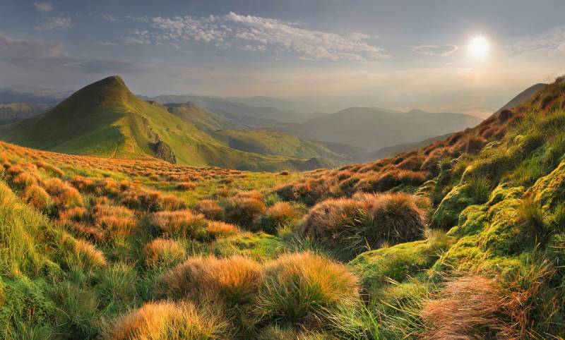 Papermoon Fototapete "Fluss im Wald" von Papermoon