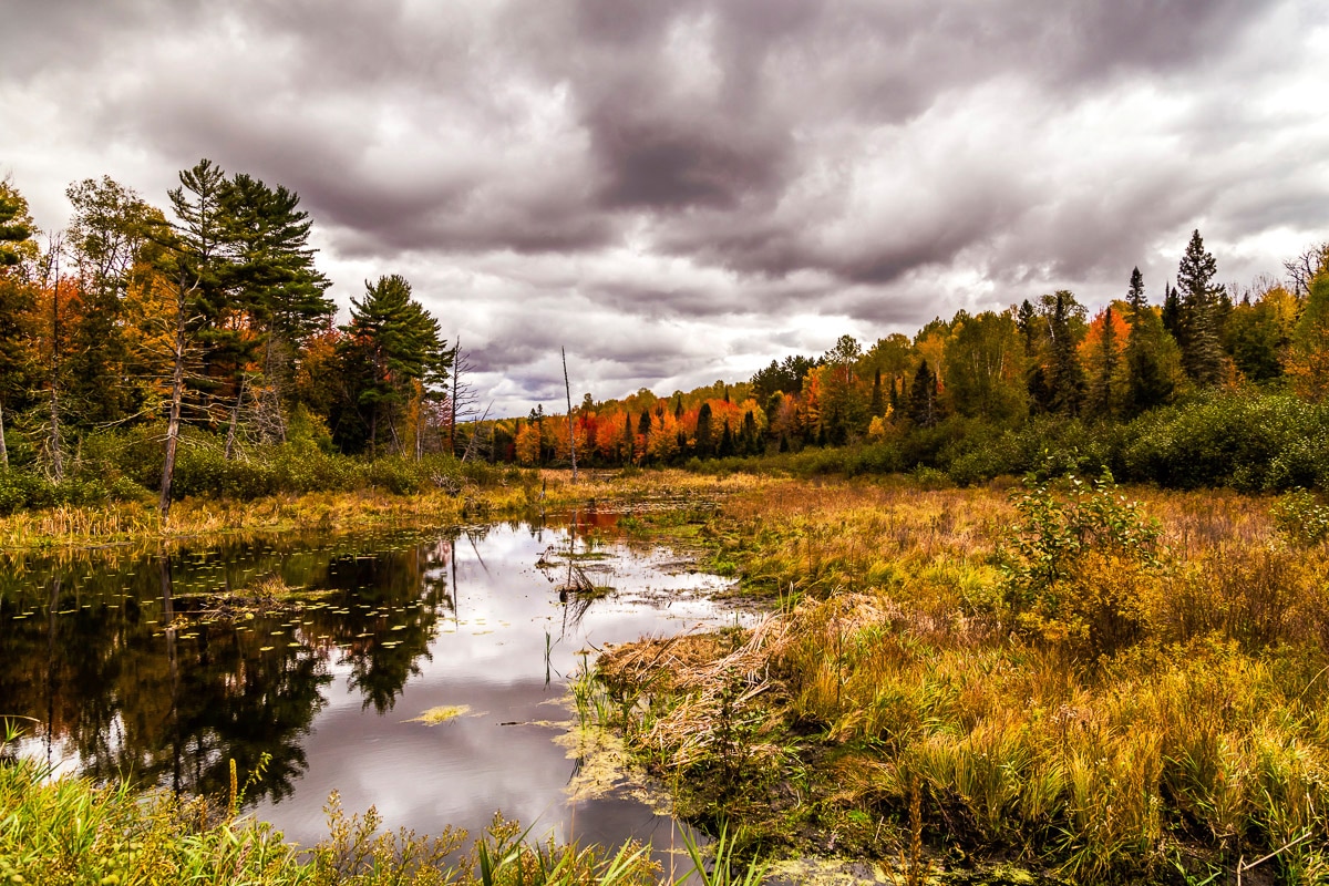 Papermoon Fototapete "Fluss" von Papermoon