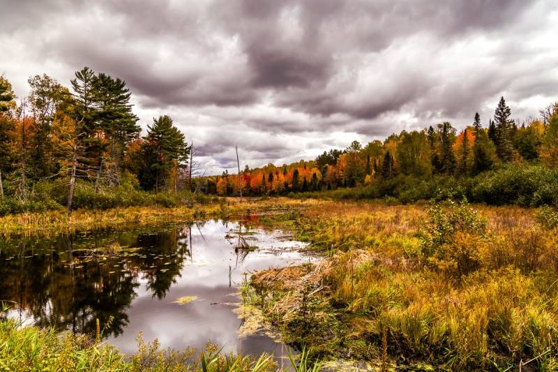 Papermoon Fototapete "Fluss" von Papermoon