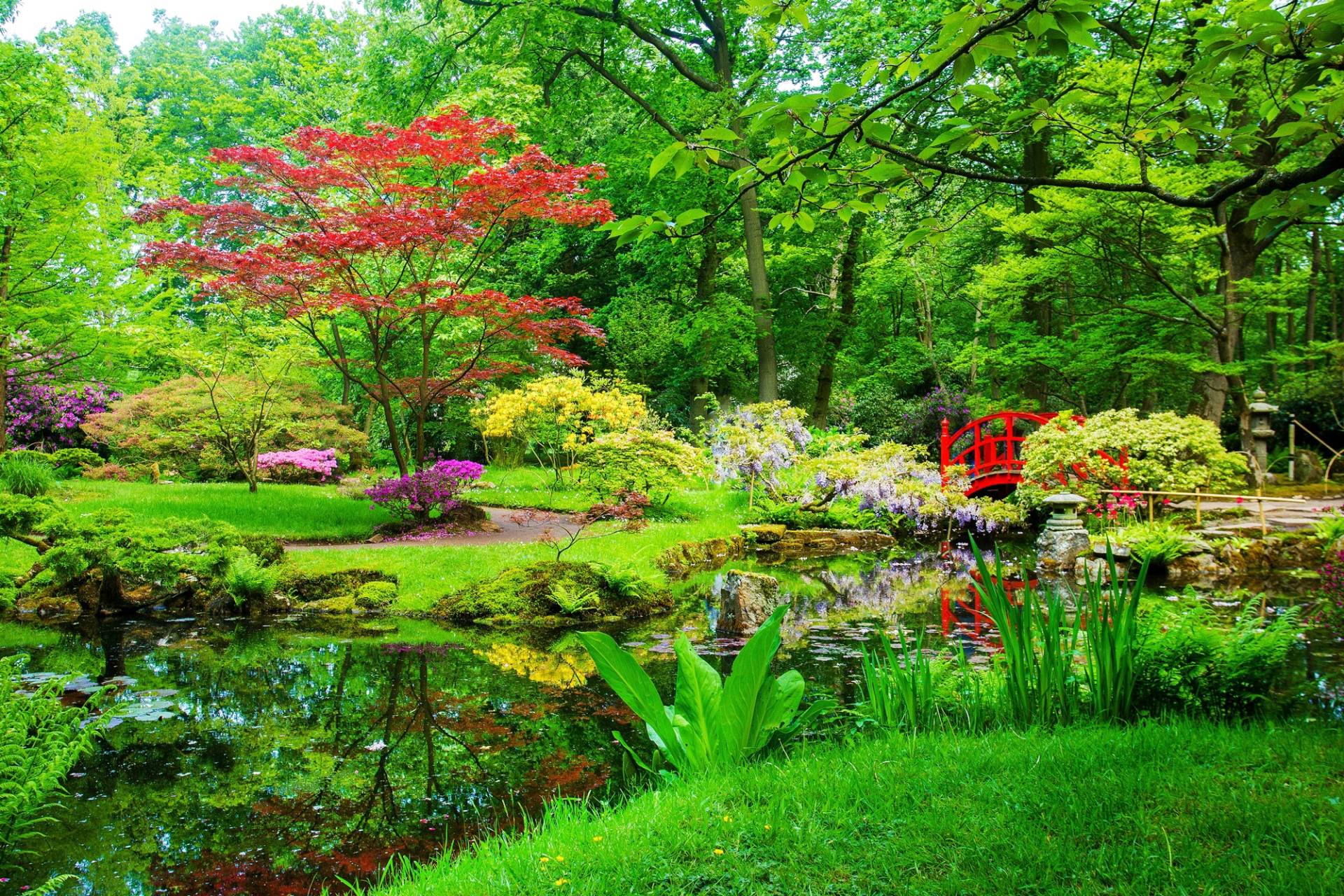 Papermoon Fototapete "GARTEN-BLUMEN BÄUME PFLANZEN STEINE WALD PARK BLÜTEN" von Papermoon