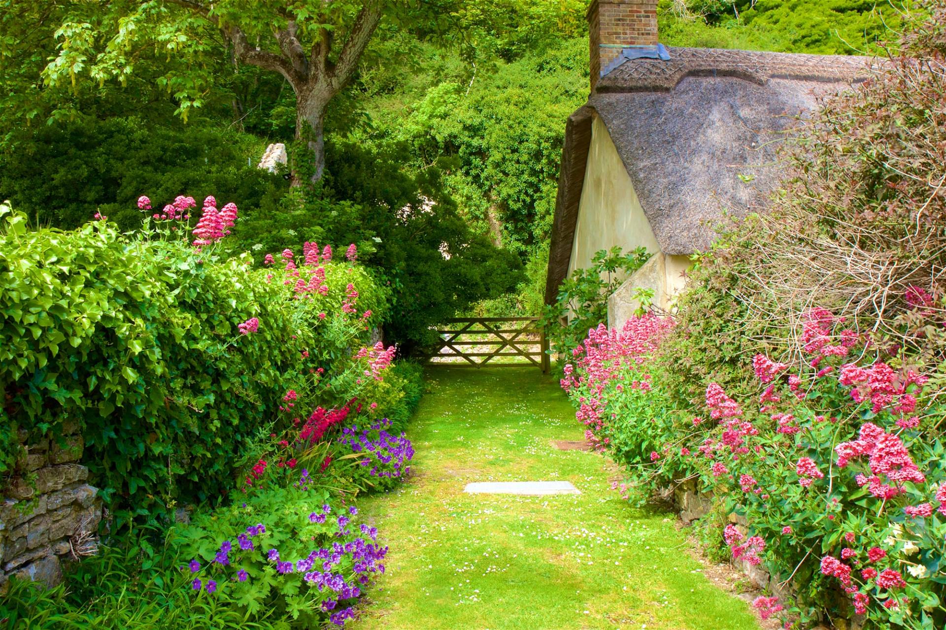 Papermoon Fototapete "GARTEN-BLUMEN BÄUME PFLANZEN STEINE WALD PERGOLA BLÜTEN" von Papermoon