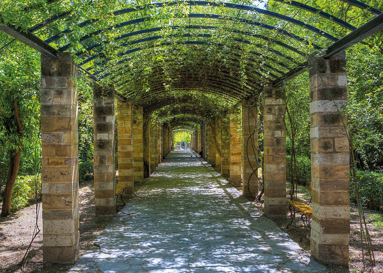 Papermoon Fototapete "Garden of Athens" glatt von Papermoon