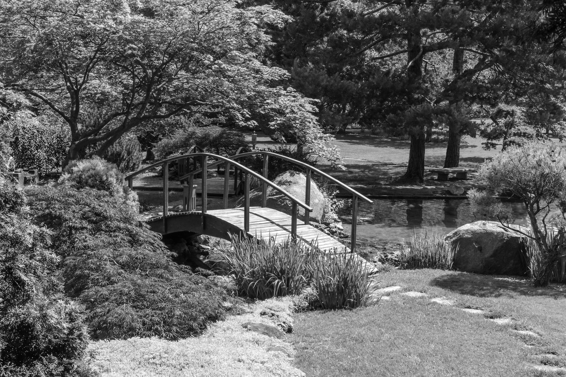 Papermoon Fototapete "Garten Schwarz & Weiß" von Papermoon