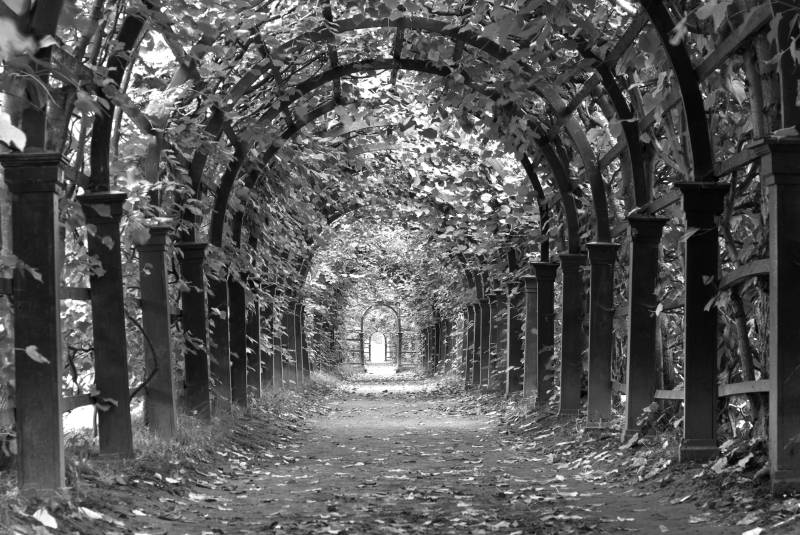 Papermoon Fototapete "Garten Schwarz & Weiß" von Papermoon