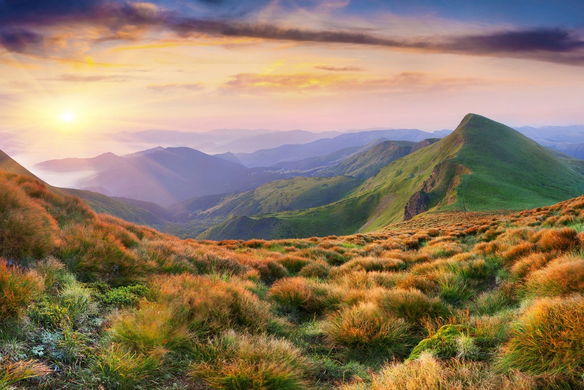 Papermoon Fototapete "Garten mit Blumen" von Papermoon