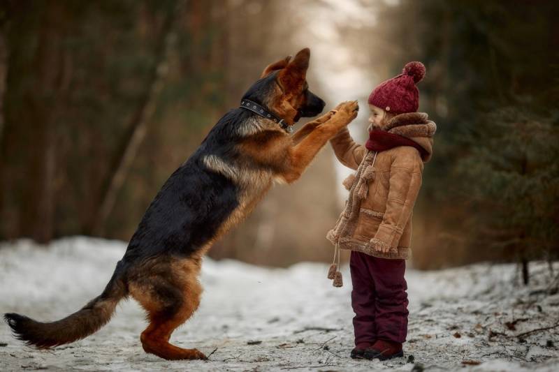 Papermoon Fototapete "Garten" von Papermoon