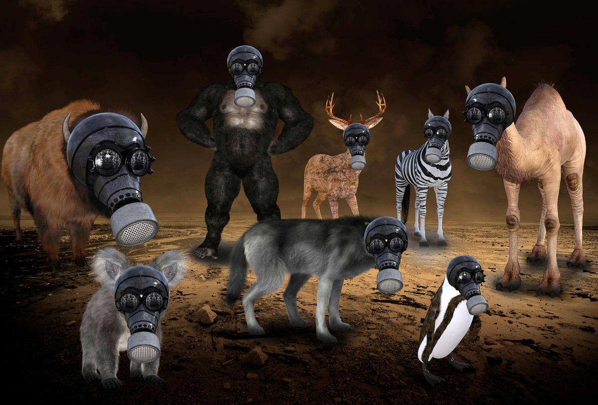 Papermoon Fototapete "Gasmasken Tiere" von Papermoon