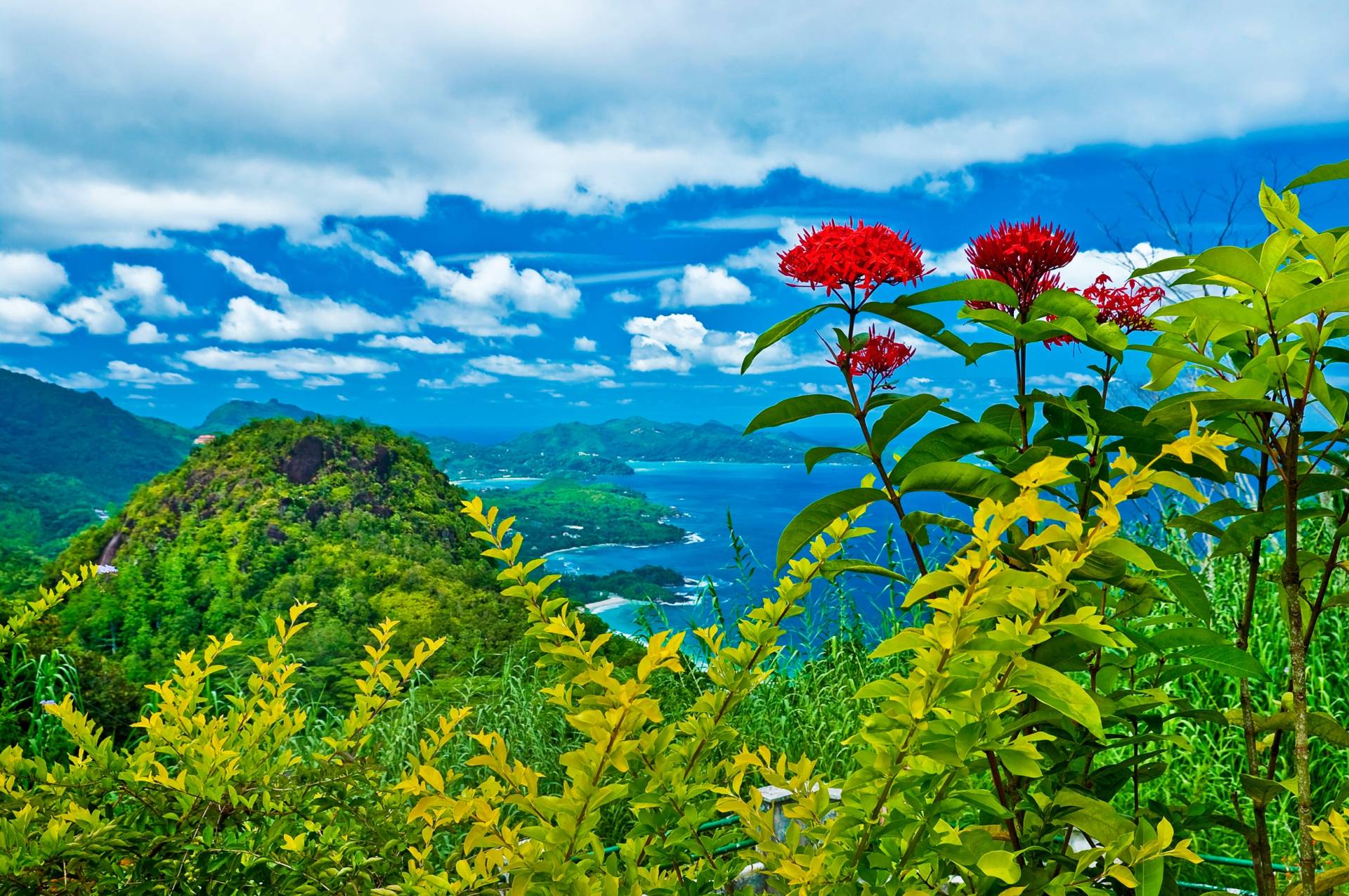 Papermoon Fototapete "INSEL-SEYCHELLEN BLUMEN KÜSTE GEBIRGE MEER PANORAMA" von Papermoon