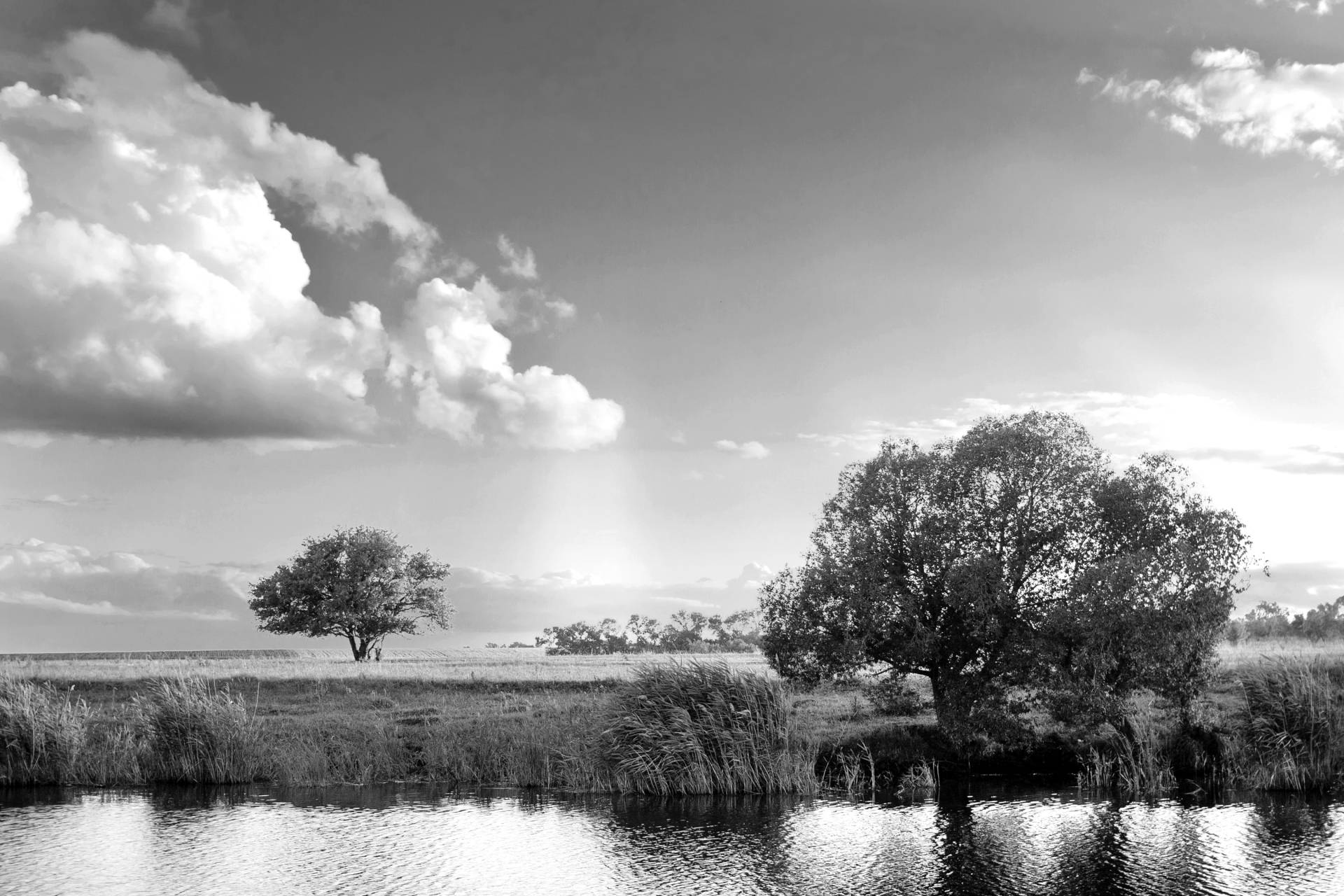 Papermoon Fototapete "Landschaft Schwarz & Weiß" von Papermoon