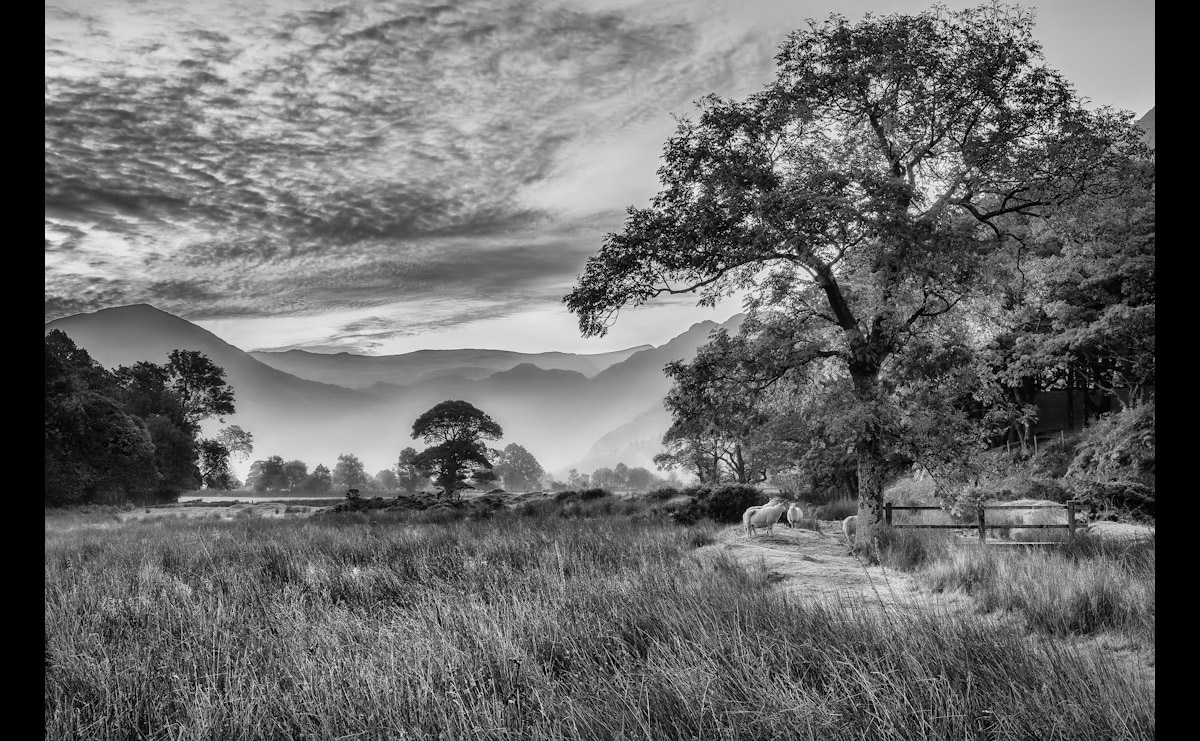 Papermoon Fototapete "Landschaft Schwarz & Weiß" von Papermoon