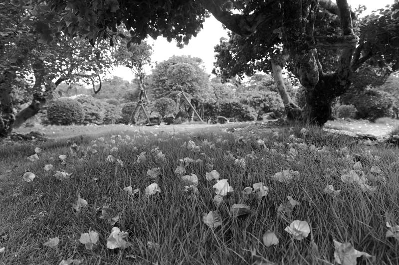 Papermoon Fototapete "Landschaft Schwarz & Weiß" von Papermoon