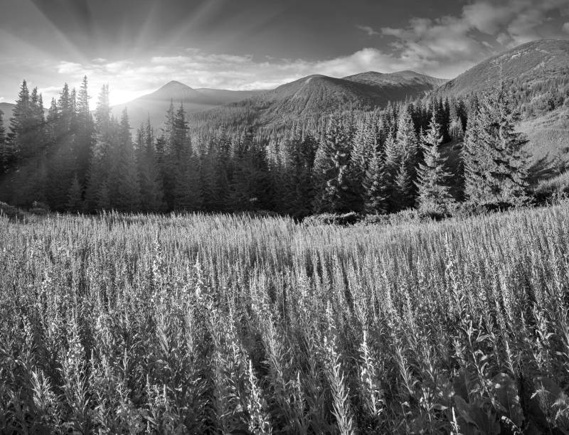 Papermoon Fototapete "Landschaft Schwarz & Weiß" von Papermoon