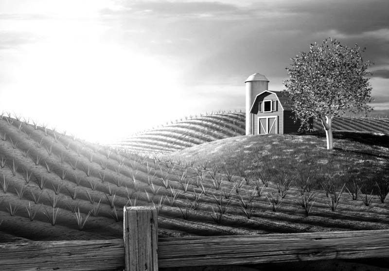 Papermoon Fototapete "Landschaft schwarz & weiß" von Papermoon