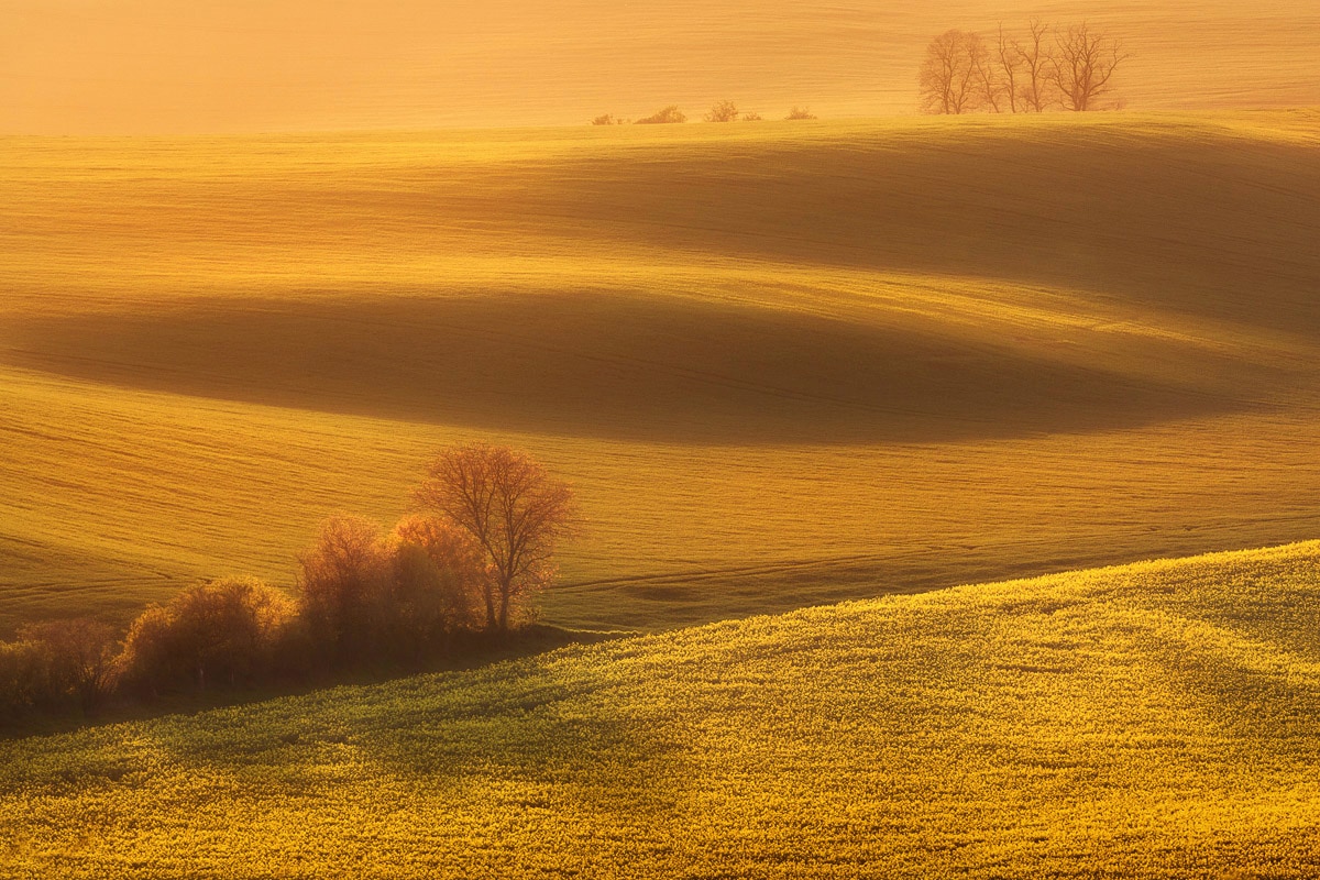 Papermoon Fototapete "Landschaft" von Papermoon