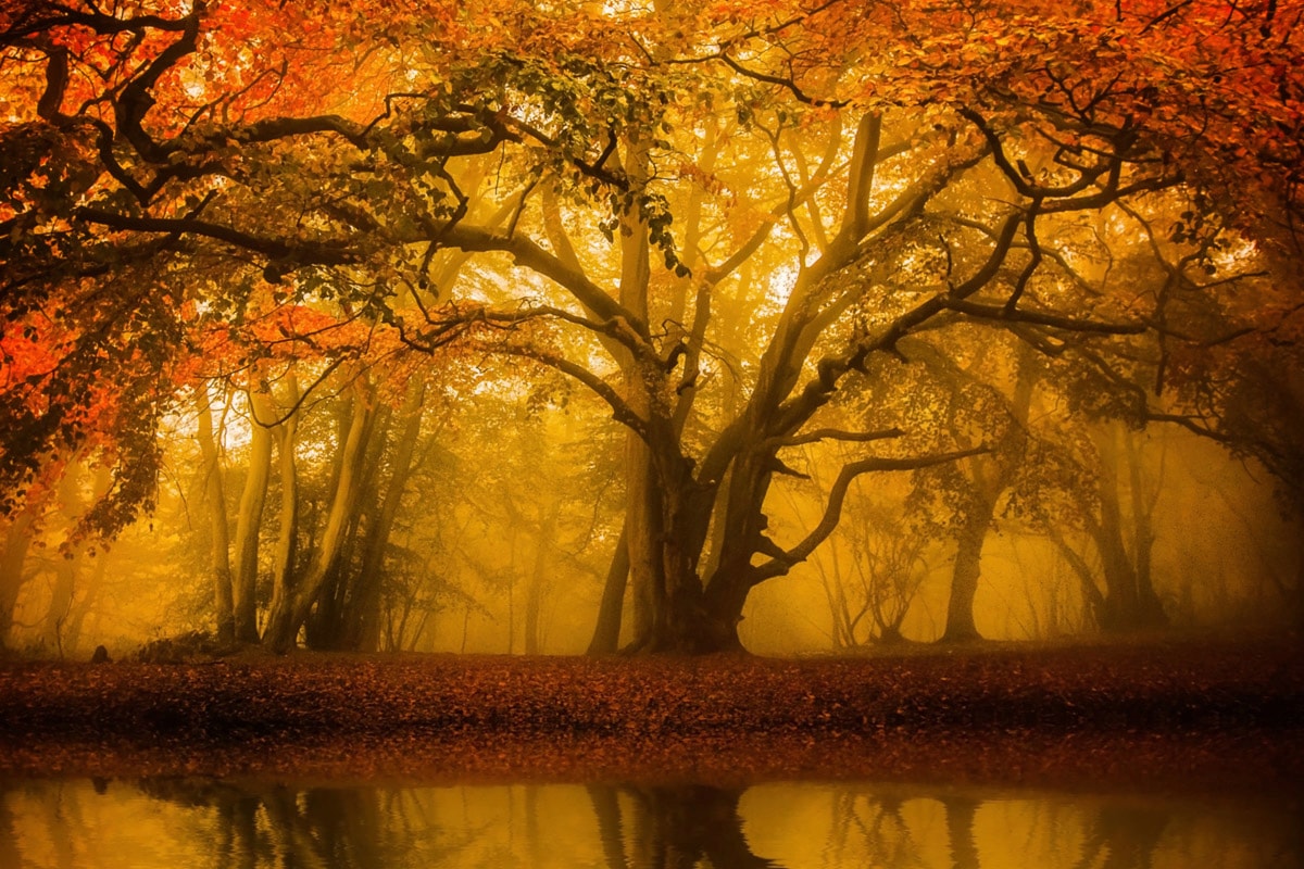 Papermoon Fototapete "Leeres großes Haus" von Papermoon