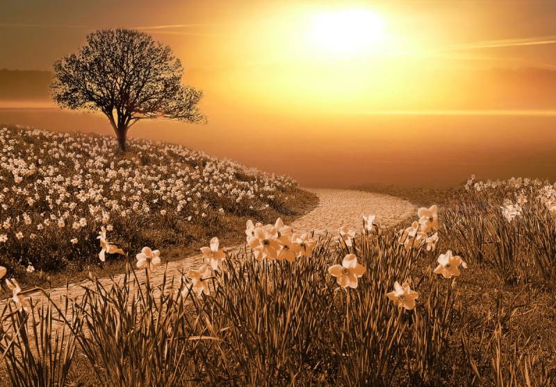 Papermoon Fototapete "Magische Landschaft" von Papermoon