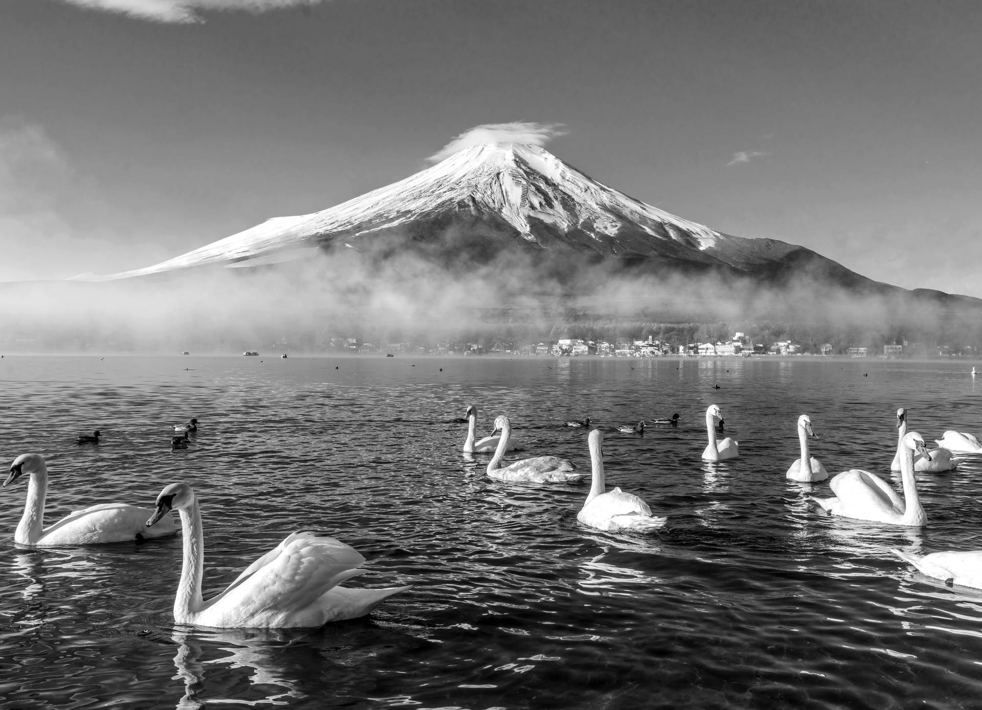 Papermoon Fototapete "Mount Fuji mit Schwänen Schwarz & Weiß" von Papermoon