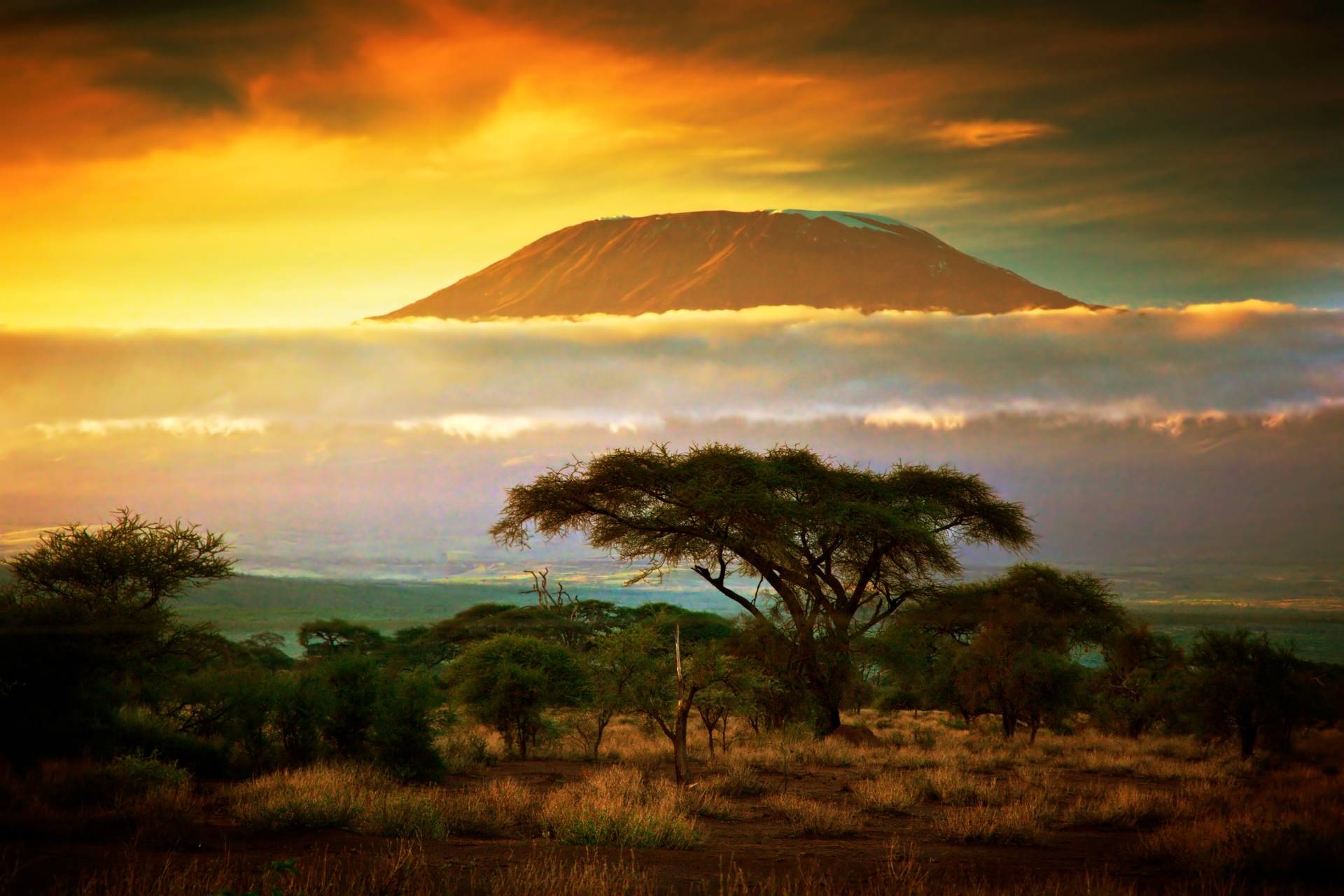 Papermoon Fototapete "Mount Kilimanjaro and Clouds" glatt von Papermoon