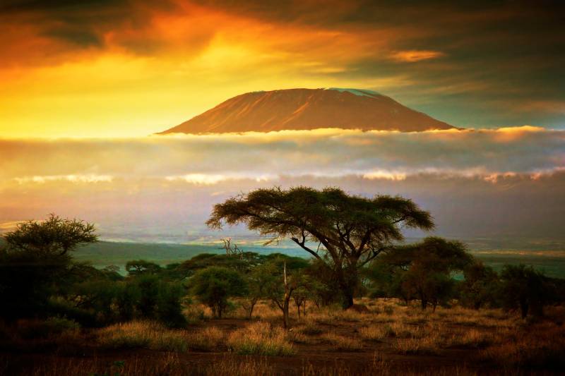 Papermoon Fototapete "Mount Kilimanjaro and Clouds" glatt von Papermoon