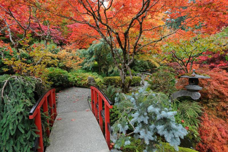 Papermoon Fototapete "JAPANISCHER GARTEN HERBST" von Papermoon