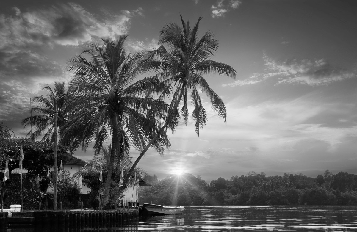 Papermoon Fototapete "PALMEN-STRAND-BEACH DSCHUNGEL MEER SEE KARIBIK SÜDSEE" von Papermoon