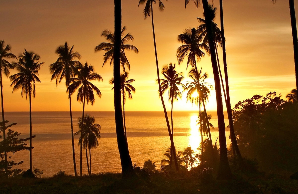 Papermoon Fototapete "PALMEN-STRAND-SONNENUNTERGANG KARIBIK SÜDSEE MEER SONNE" von Papermoon