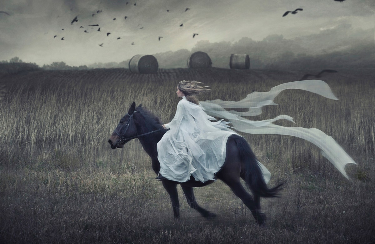 Papermoon Fototapete "PFERD IM GALLOP-TIER ROMANTISCH SCHÖNHEIT STIMMUNG XXL" von Papermoon