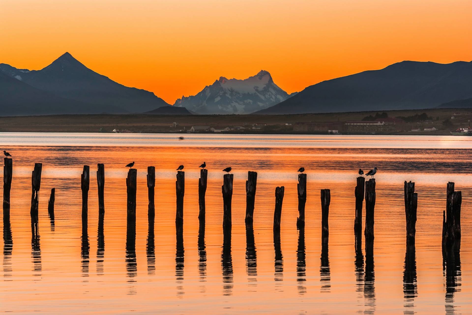 Papermoon Fototapete "PUERTO NATALES-CHILE SEE GEBIRGE BLUMEN SONNE WALD STEG" von Papermoon