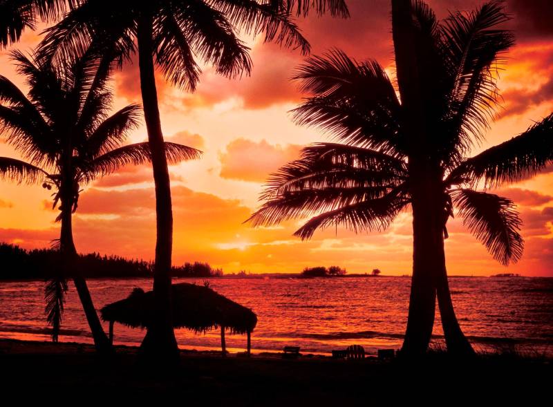 Papermoon Fototapete "Palm Beach at Dusk" glatt von Papermoon