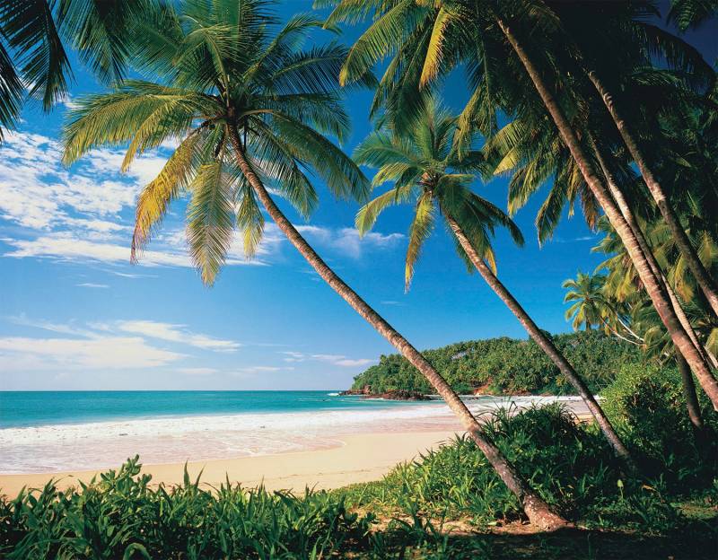 Papermoon Fototapete "Palmbeach" glatt von Papermoon