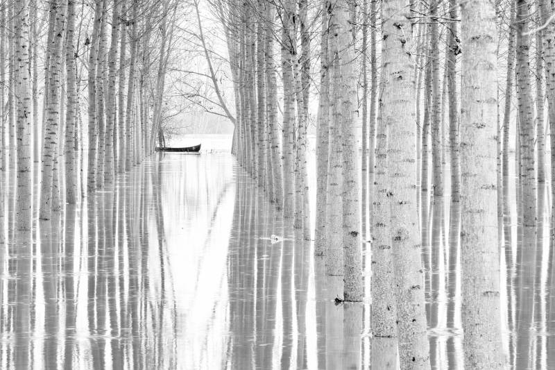 Papermoon Fototapete "Photo-Art AGLIONI SIMONE, BEWEGUNGSFREIHEIT" von Papermoon