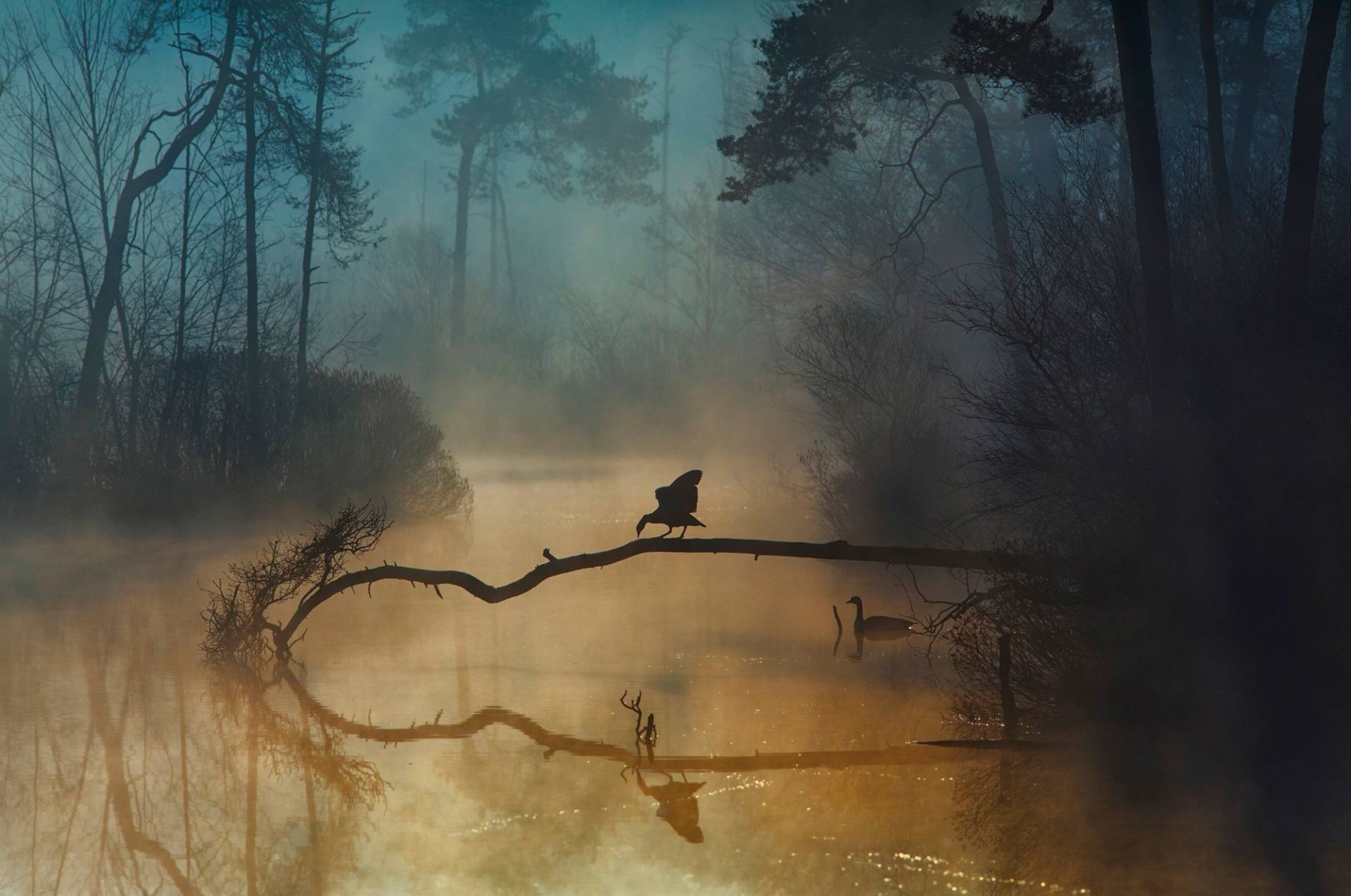 Papermoon Fototapete "Photo-Art ANTON VAN DONGEN, BLAUE STUNDE" von Papermoon