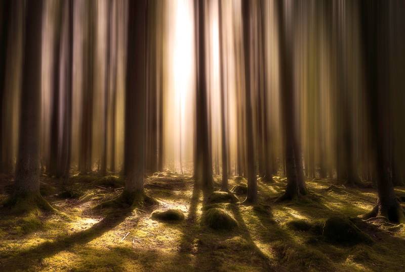 Papermoon Fototapete "Photo-Art CHRISTIAN LINDSTEN, ATEM DES LEBENS" von Papermoon