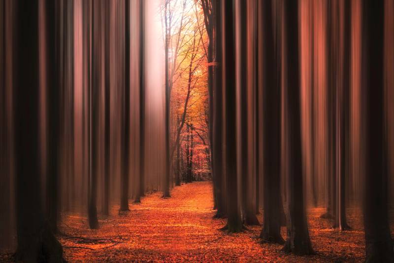 Papermoon Fototapete "Photo-Art CHRISTIAN LINDSTEN, WECKE MICH NICHT AUF" von Papermoon