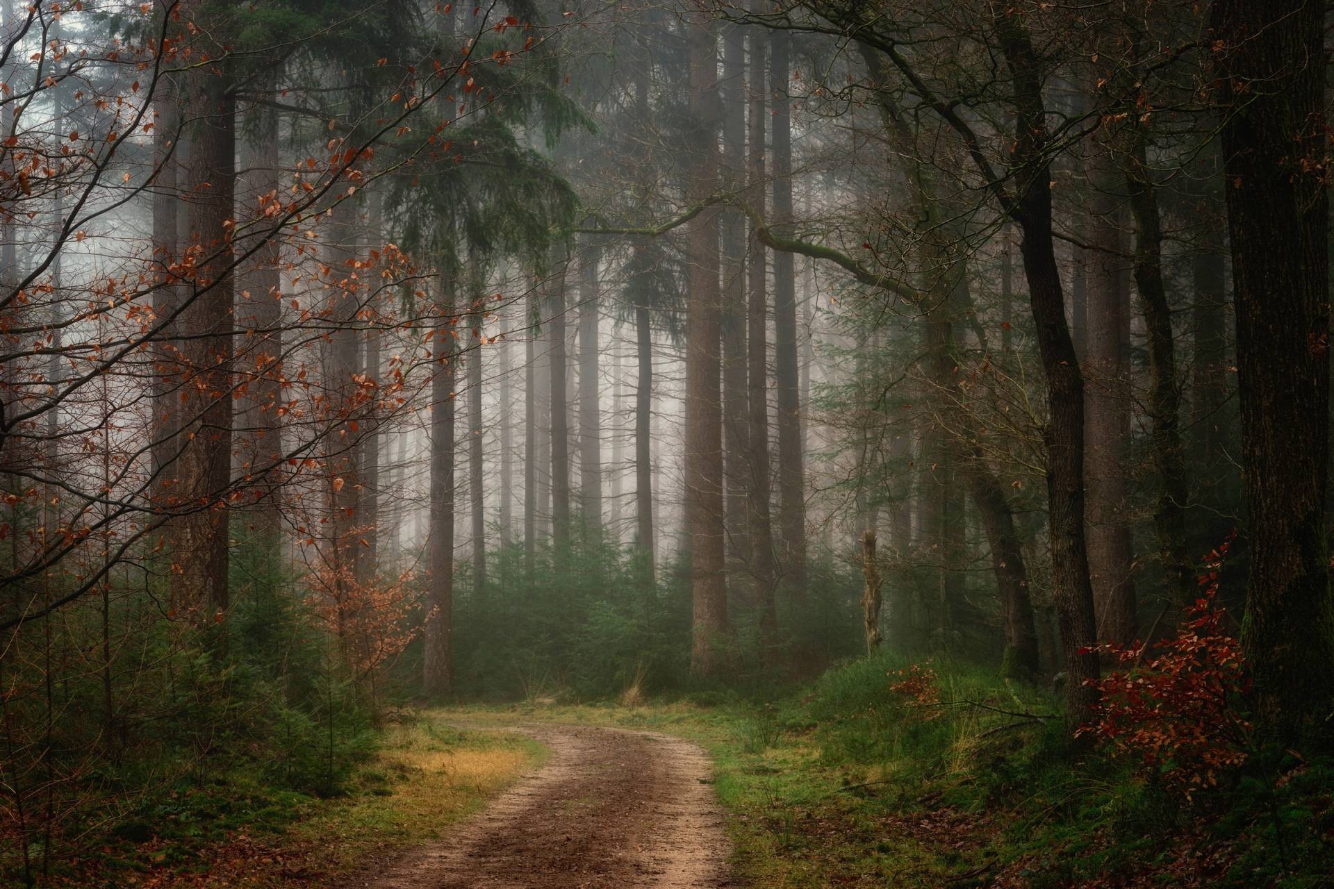 Papermoon Fototapete "Photo-Art ELLEN BORGGREVE, REVERIES" von Papermoon