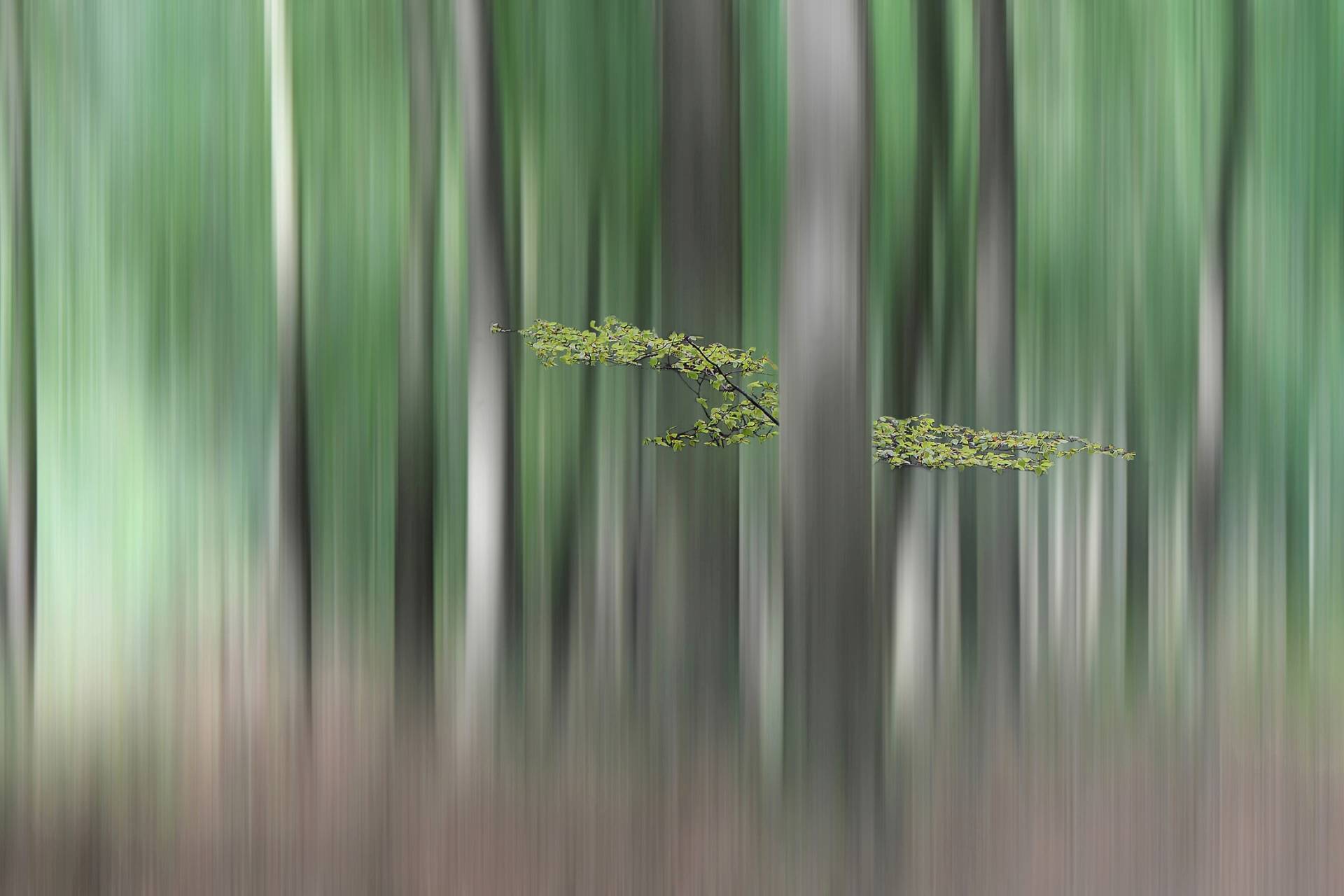 Papermoon Fototapete "Photo-Art HUIB LIMBERG, SUMMERMHERING" von Papermoon