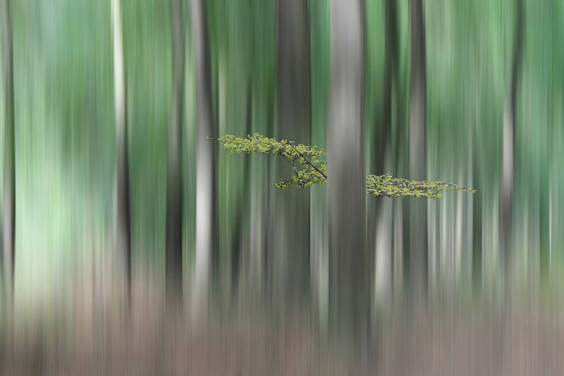 Papermoon Fototapete "Photo-Art HUIB LIMBERG, SUMMERMHERING" von Papermoon