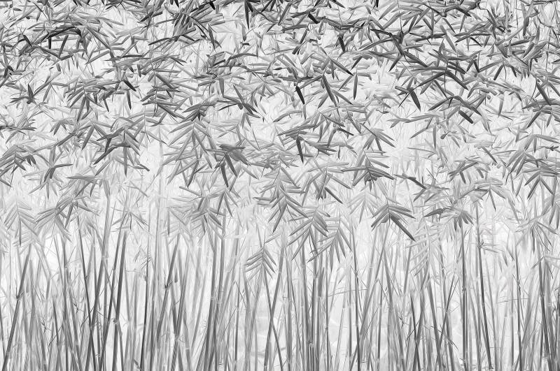 Papermoon Fototapete "Photo-Art JEFFLIN LING, PARALLELITÄT" von Papermoon